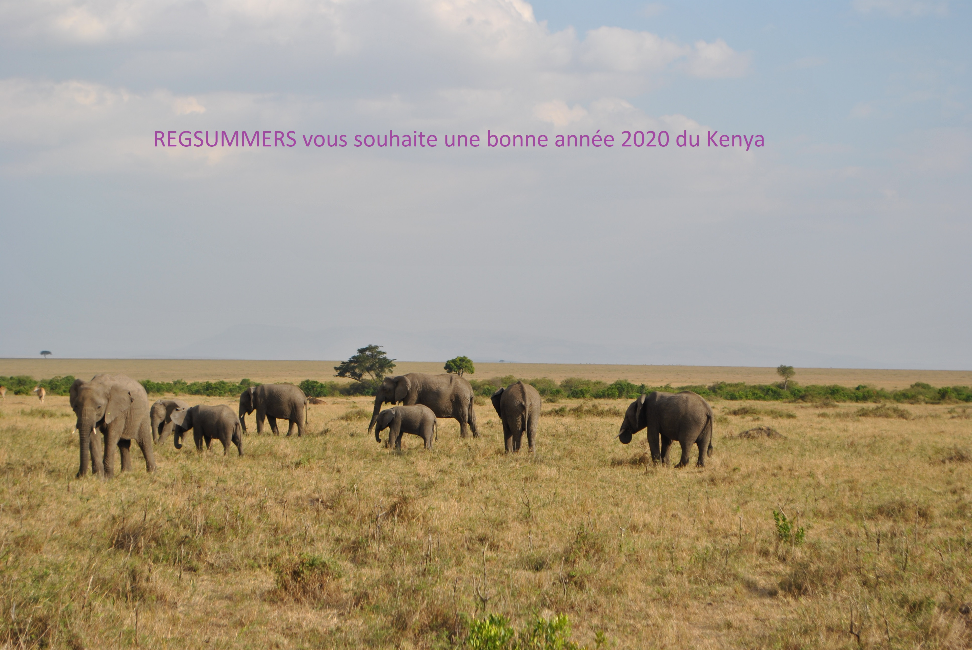 Collection Regsummers Sandales tongs  cuir 2020 Kenya